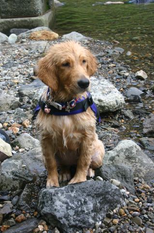 ファイル 100-4.jpg