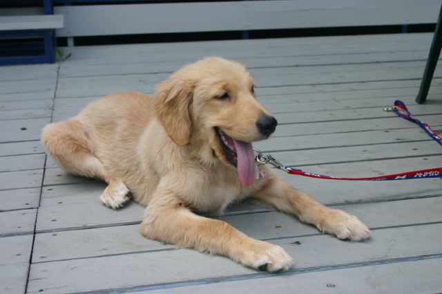 ファイル 100-5.jpg