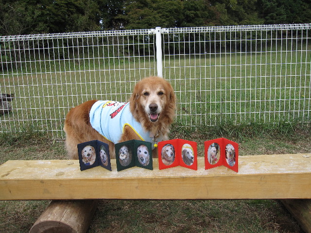 ファイル 1000-1.jpg