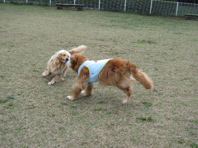 ファイル 1000-2.jpg