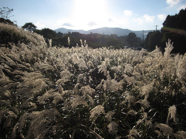 ファイル 1002-2.jpg