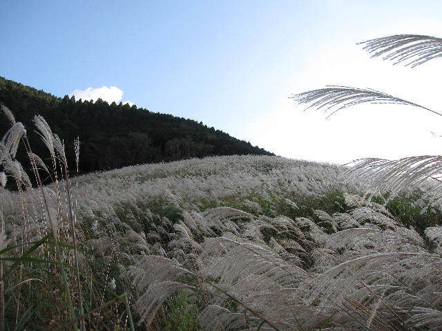 ファイル 1002-3.jpg