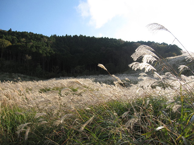 ファイル 1003-2.jpg