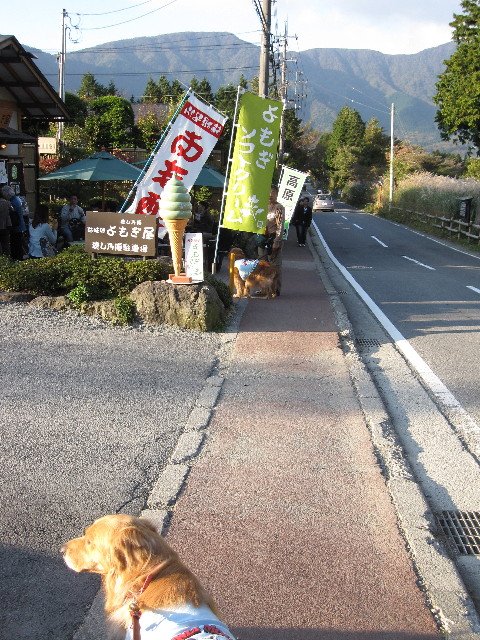 ファイル 1003-3.jpg