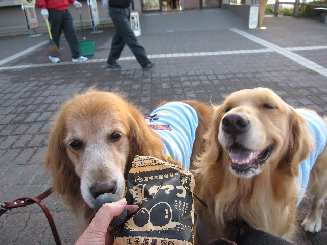 ファイル 1004-2.jpg