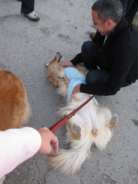 ファイル 1005-5.jpg