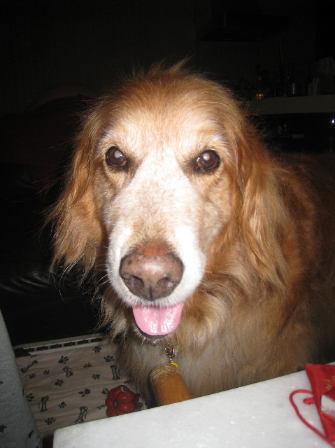 ファイル 1007-4.jpg