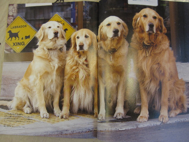 ファイル 1008-1.jpg