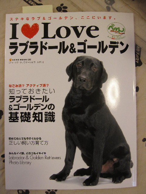 ファイル 1008-2.jpg