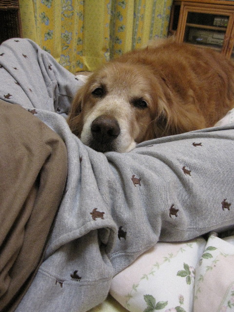 ファイル 1008-3.jpg