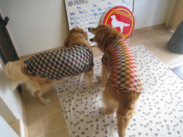 ファイル 1009-4.jpg