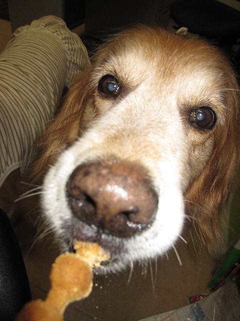 ファイル 1010-4.jpg