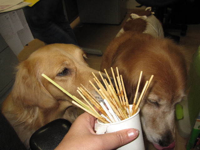 ファイル 1010-5.jpg