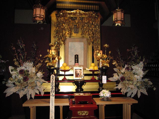 ファイル 1011-1.jpg