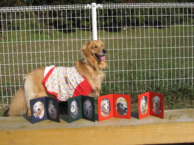 ファイル 1012-2.jpg