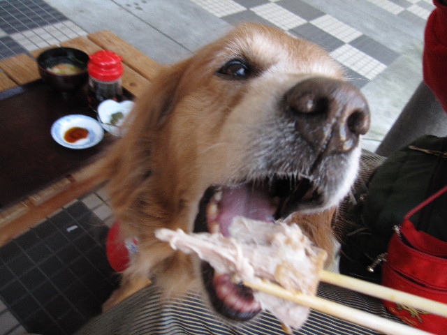 ファイル 1012-5.jpg