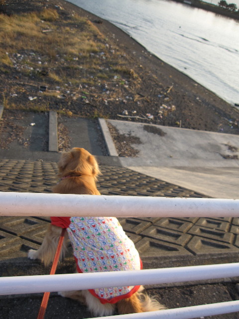 ファイル 1013-5.jpg