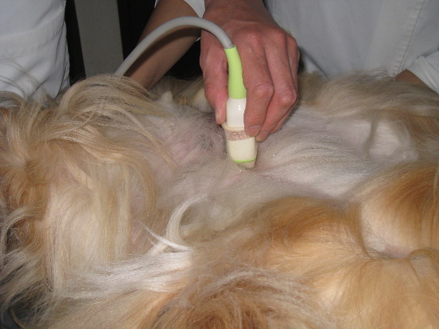 ファイル 1015-2.jpg