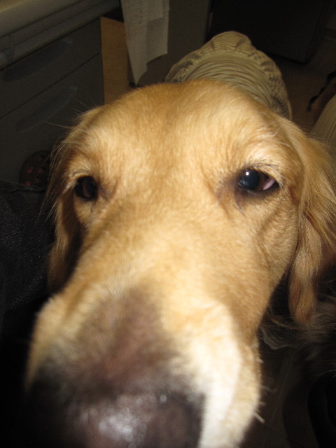 ファイル 1015-5.jpg