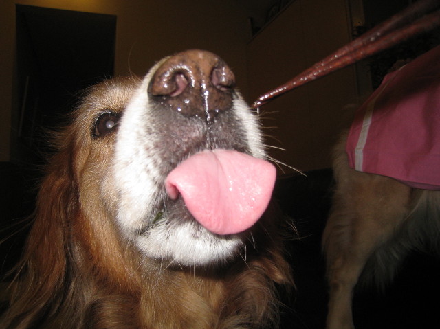 ファイル 1019-2.jpg