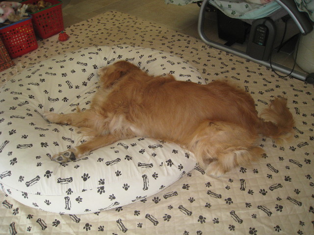 ファイル 1019-4.jpg