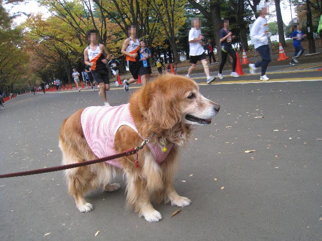 ファイル 1019-5.jpg