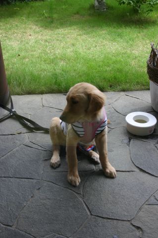 ファイル 102-1.jpg