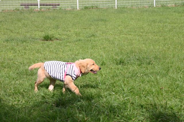 ファイル 102-3.jpg