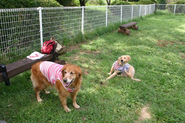 ファイル 102-4.jpg