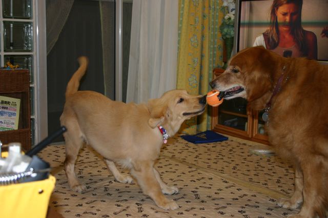 ファイル 102-5.jpg