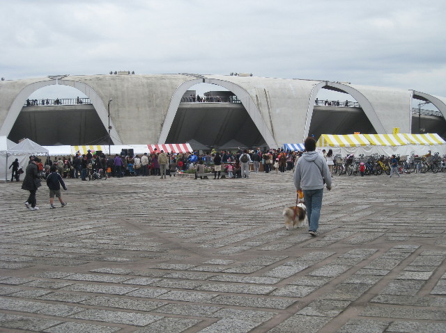 ファイル 1020-2.jpg