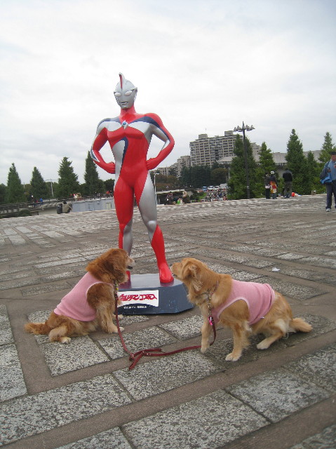 ファイル 1020-3.jpg