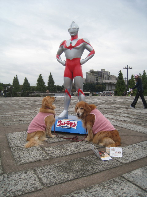 ファイル 1020-4.jpg