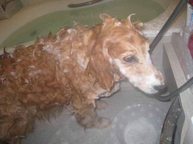 ファイル 1021-2.jpg