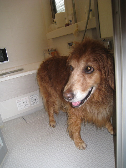 ファイル 1021-3.jpg