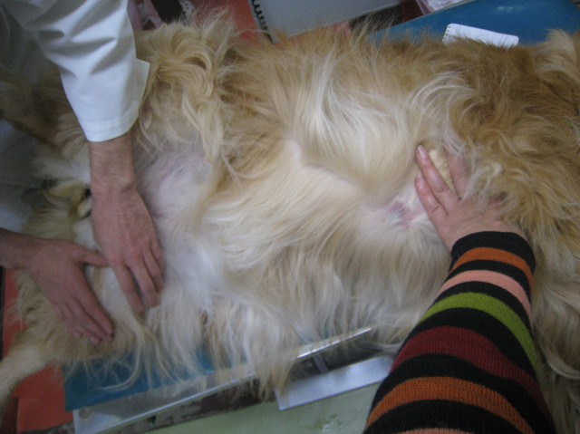 ファイル 1022-3.jpg