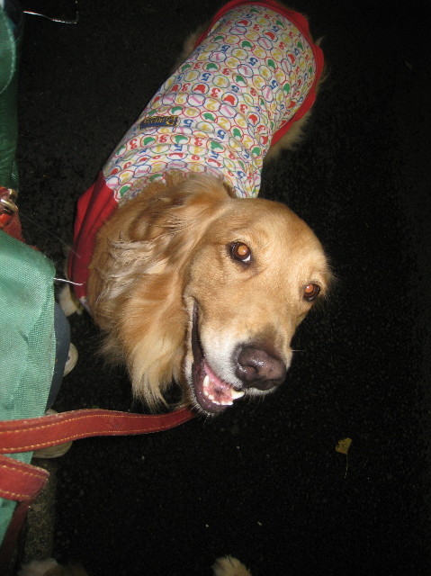 ファイル 1022-4.jpg