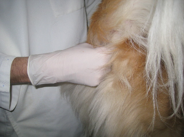 ファイル 1022-5.jpg