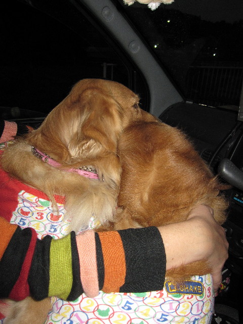 ファイル 1023-1.jpg