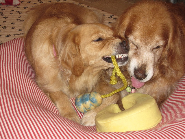 ファイル 1024-1.jpg