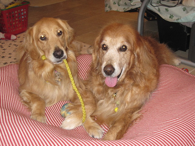 ファイル 1024-4.jpg