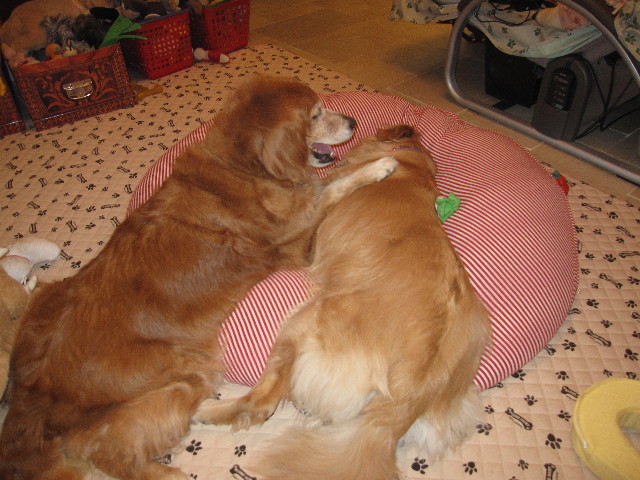 ファイル 1024-5.jpg