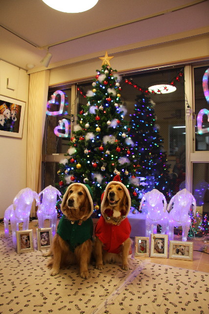 ファイル 1025-5.jpg