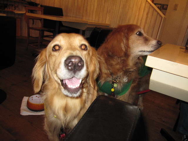 ファイル 1026-1.jpg