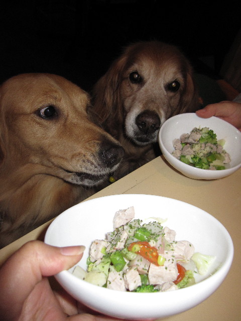 ファイル 1026-2.jpg