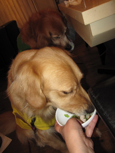 ファイル 1026-3.jpg