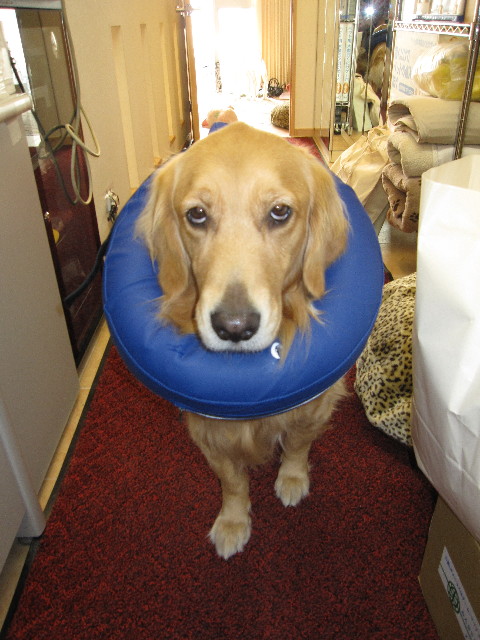 ファイル 1026-5.jpg