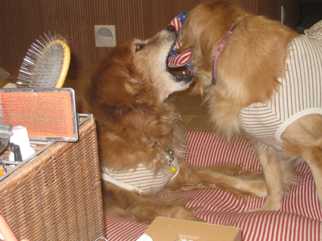 ファイル 1028-3.jpg