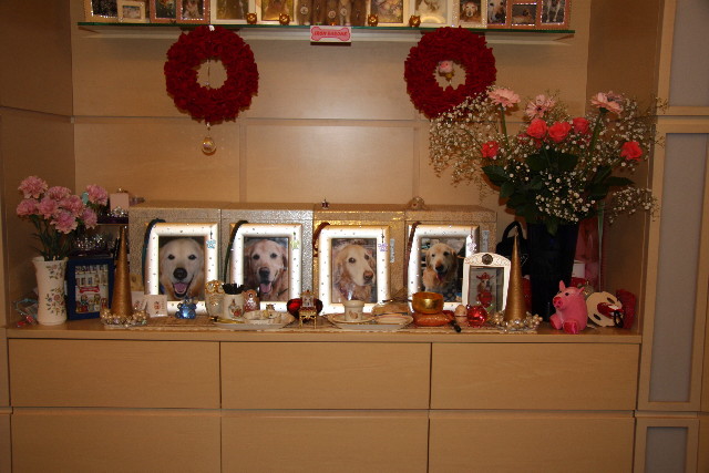 ファイル 1028-5.jpg