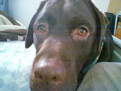 ファイル 1029-2.jpg